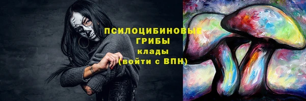 амф Бугульма
