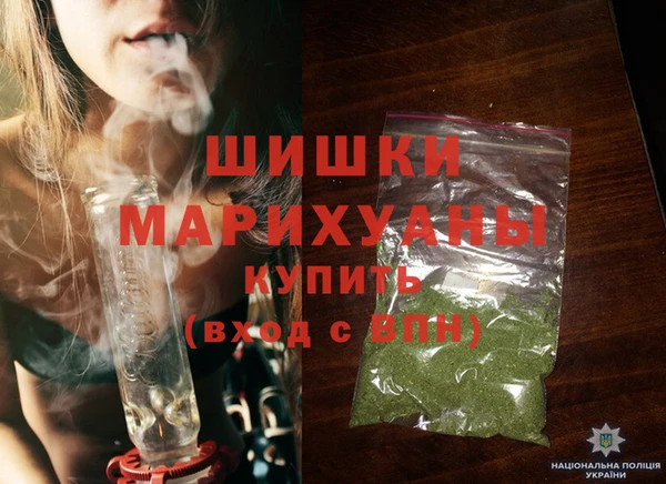 spice Бородино