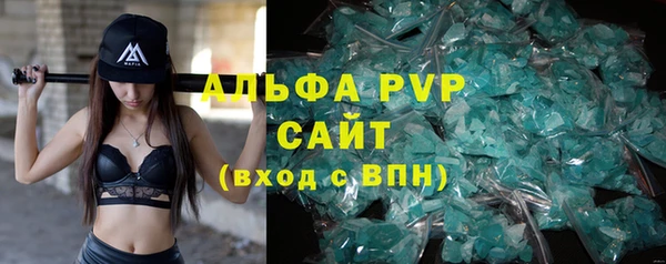 spice Бородино