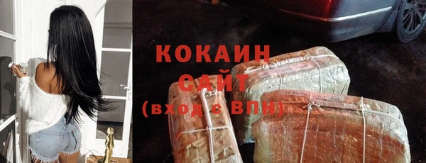 spice Бородино