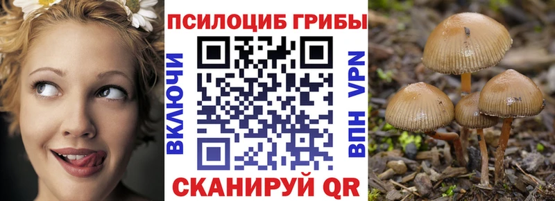 где можно купить   Юрьев-Польский  kraken рабочий сайт  Галлюциногенные грибы Cubensis 